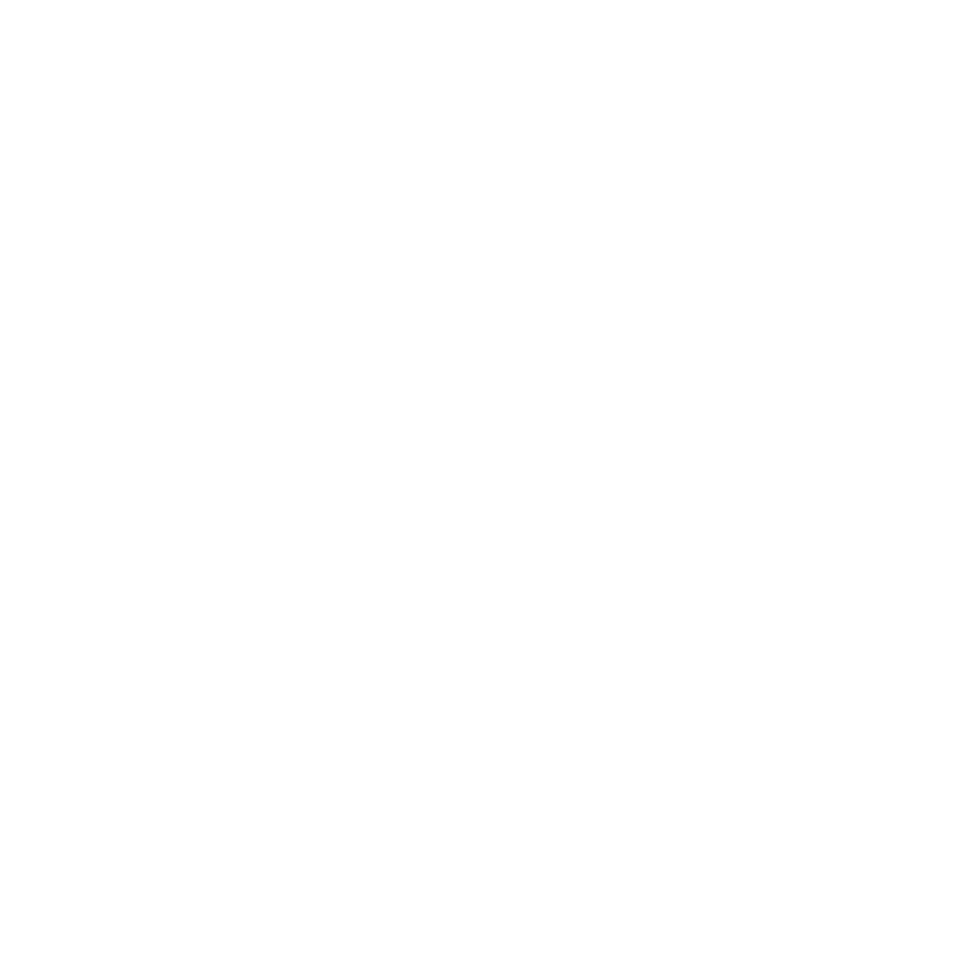 Vision Times China logo
